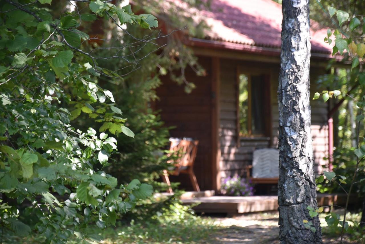 Berzu Namelis - Birch Cabin Villa Kuciunai Exterior photo