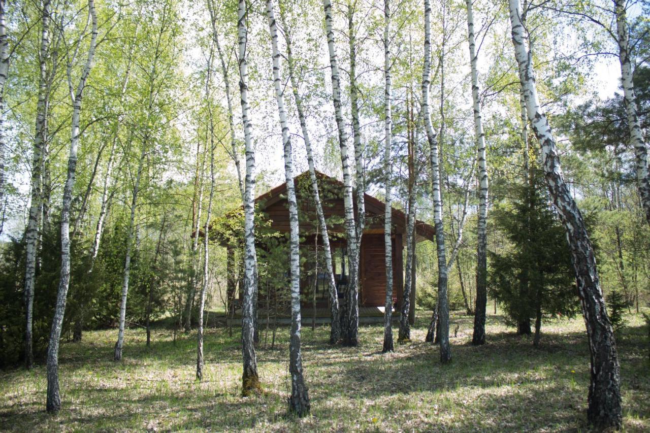 Berzu Namelis - Birch Cabin Villa Kuciunai Exterior photo